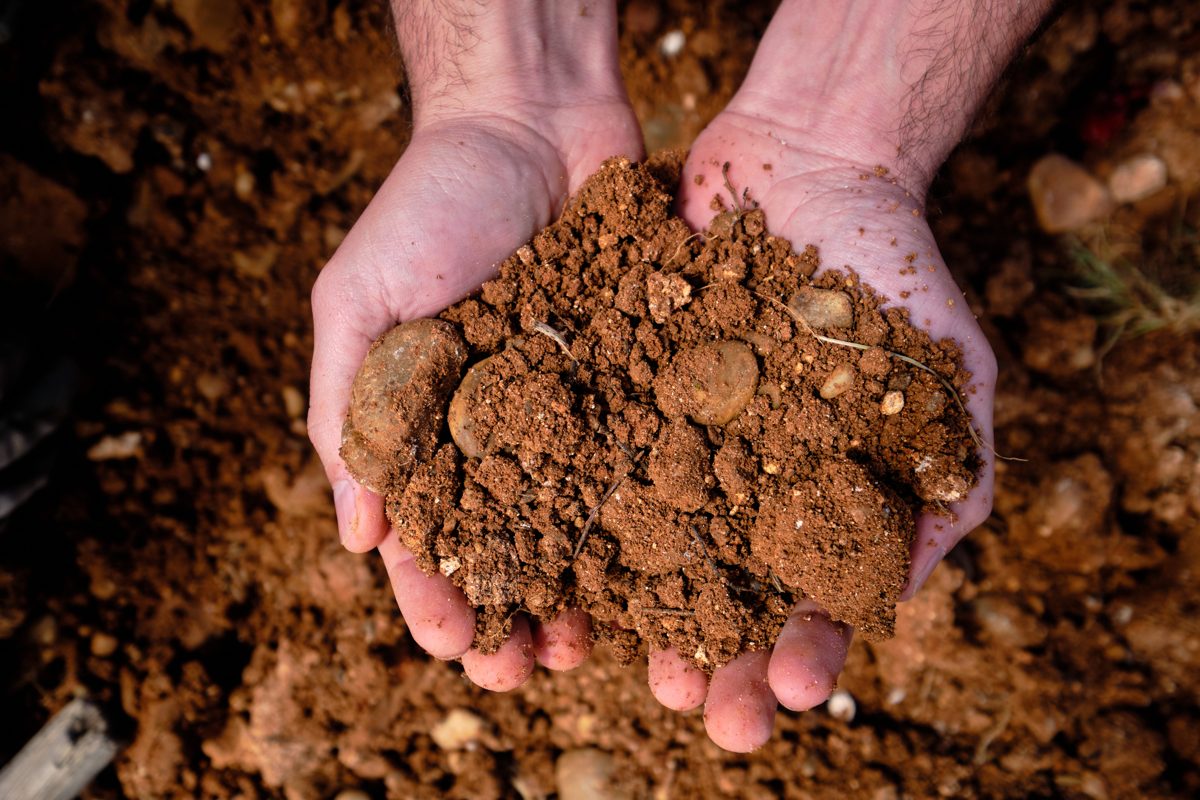 Manos con tierra arcillosa de una de las parcelas